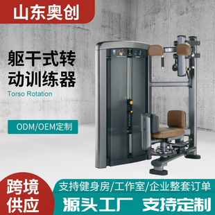 Commercial Indoor Fitness Rotating Exercise Equipment Rotating Trunk Trainer Gym Dedicated Factory Direct Sales