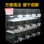 养殖立式配对种鸽鸽笼