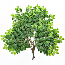 �������bt���~�y���~���blؔ�~�b��bن�ֻ/����@��֦