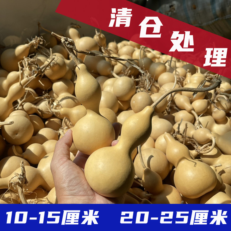清仓处理天然小葫芦通货批发微瑕装修吊顶真葫芦学生美术烙画手工