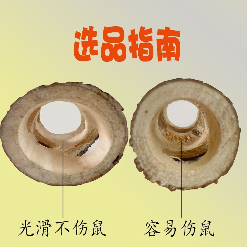 e3a7c972-bd8b-4c75-8997-05477aaaedc2.jpe