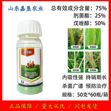 aSϲ÷75%뿾ˮɢ׷۲̿Ҳ