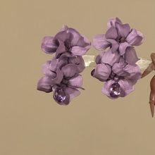 Ұ�ļ��¿�l�AΨ�����|��ɫ����l�A�ȼ��L���հl���A��