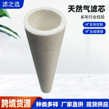 天然气滤芯PHCG24