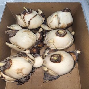 ����ˮ�ɻ��N��ˮ�໨�ܶ���ˮ�Bֲ��N���k���҃��������԰��_��