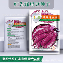 �L��ժ�����tü���N���r�Ҵ��ļ��߮a�����ϱⶹ�N���߲˷N�ݴ��l