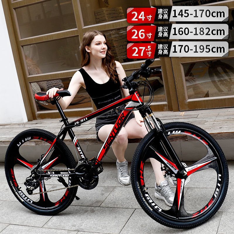 Mountain bike