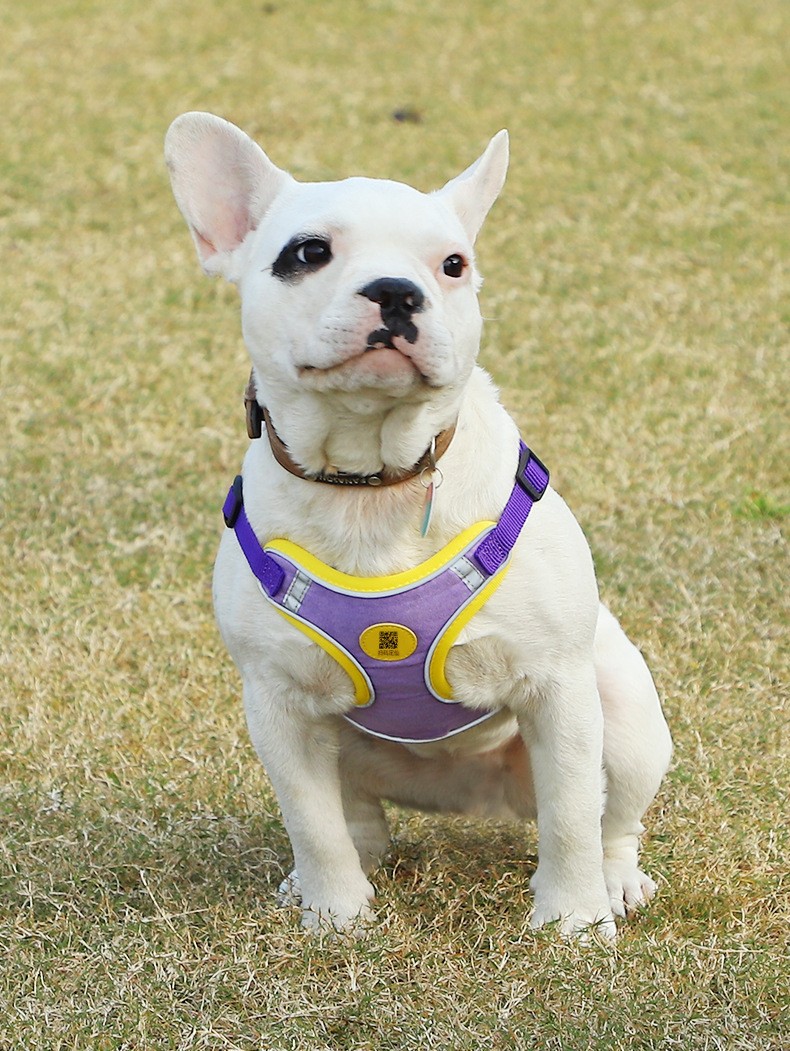 O1CN01ATOJ681adGLG5Q9Ft_!!2206