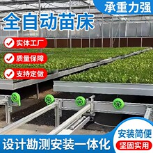 热镀锌全自动潮汐苗床农业温室大棚花苗绿植培育苗床网厂家定*制