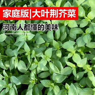 ���~�G��N���G�j�����r������ͥԺ�̨���Բ��N�߮a���߲˷N����