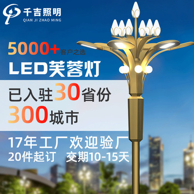 Senkichi Yulan lamp customized 8-12 Municipal administration engineering street lamp square characteristic Scenery street lamp LED Yulan lamp