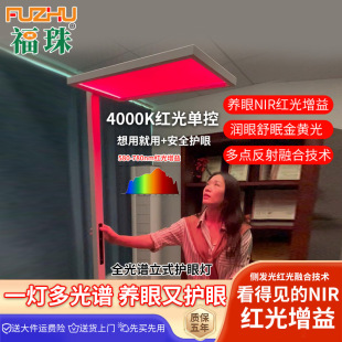 NIR Red Light Gain Eye Protection Large Street Light Full Spectrum Vertical Floor Lamp Reading and Learning Desk Lamp Piano Lamp