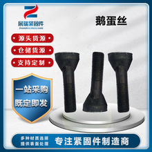 �Z����˨4.8���ߏ��șE�A�^ ��˨��ĥ���ݽz�Z����˨�S�Ҿo��