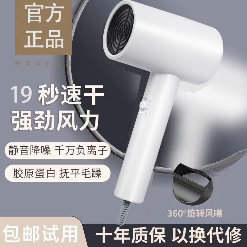 Hair Dryer for Home Dormitory Use for Students 800W Low Power Negative Ion Quick Drying Hair Drying Cross-Border Wholesale