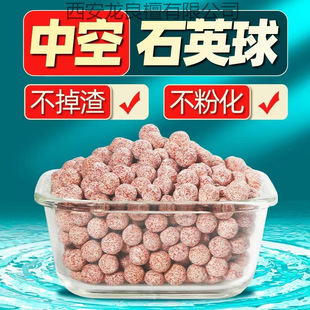 �{���п�ʯӢ��������~�מV���^�V���������������մɭh�h�t����