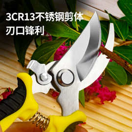 批发多功能剪刀家用修枝神器加厚不锈9钢花匠园丁摘果专用修枝剪