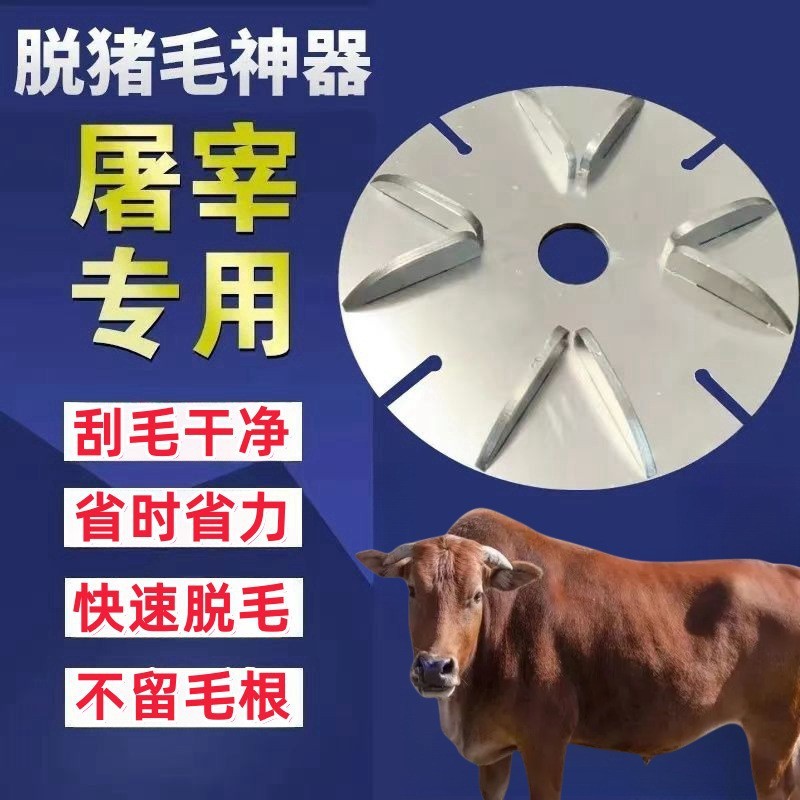 と殺専用脱毛神器は豚の毛を剃って牛のウールの研磨機の電動の角の研磨機のステンレスの刀に行きます。|undefined