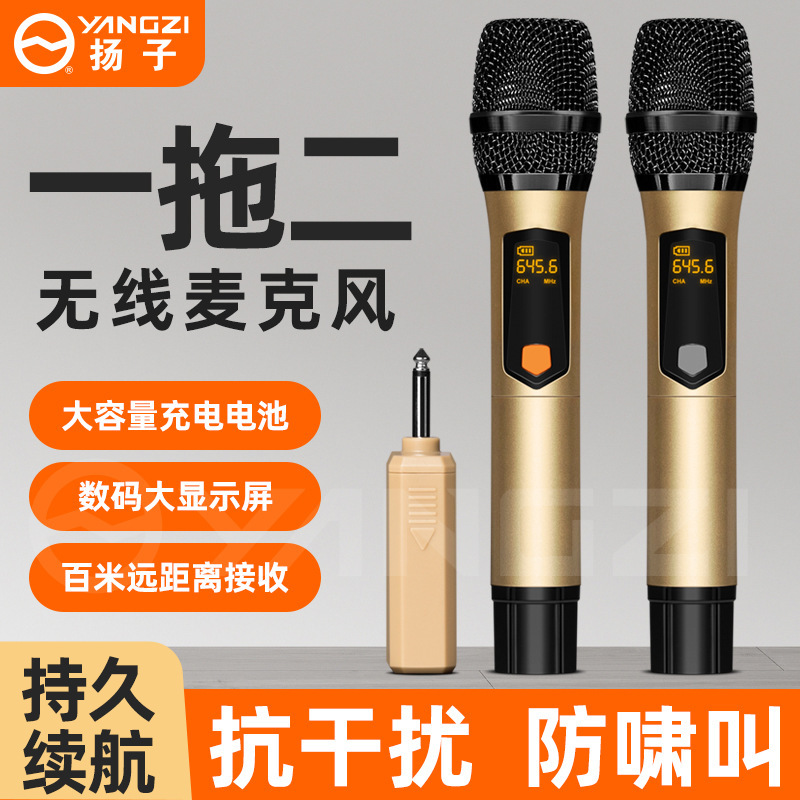 无线麦克风充电一拖二家用KTV声卡舞台直播K歌专业 手持话筒|undefined