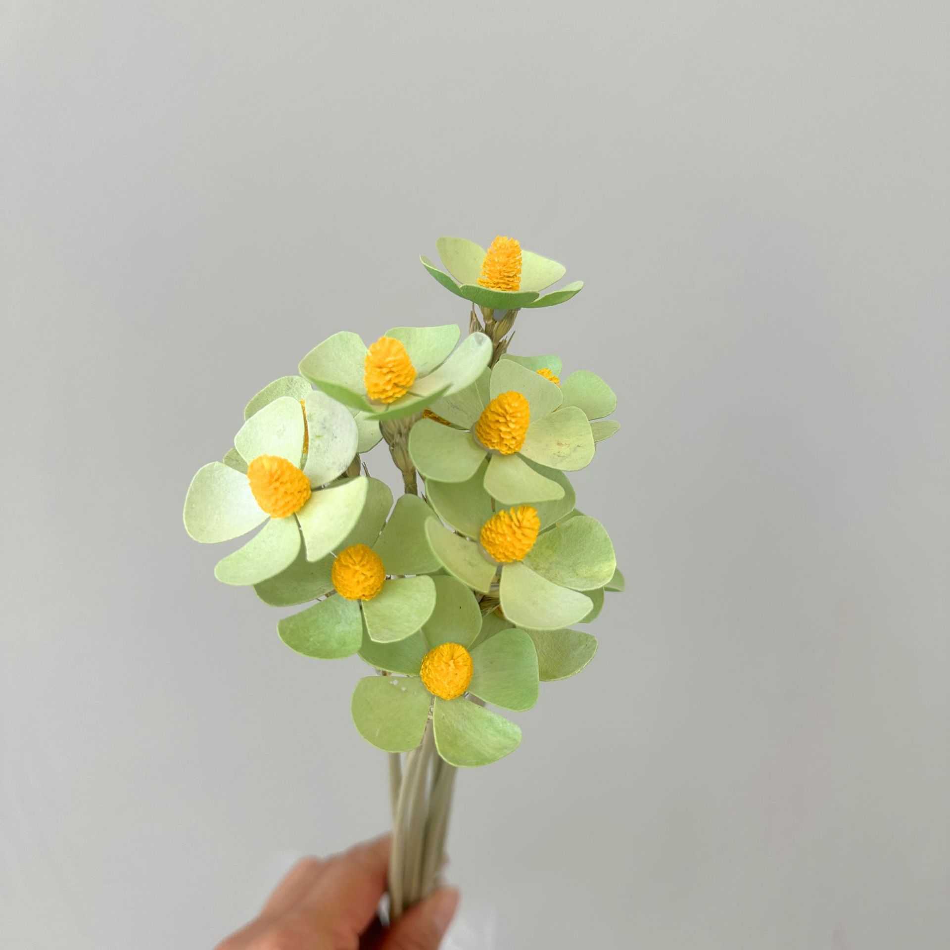 연한 녹색 12개 스틱/팩