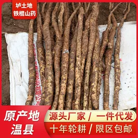 山药及其制品;块茎类;地黄类