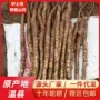 河南焦作新鲜淮山药山药