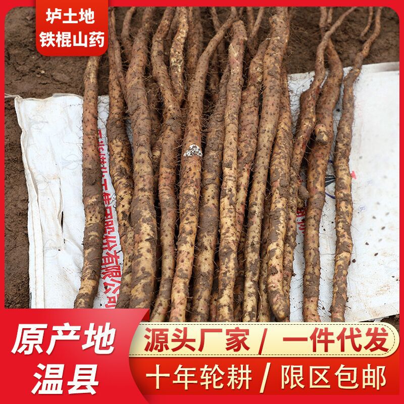 Yam, Henan Jiaozuo Soil Iron Rod Yam, Fresh Yam Wholesale 1 Piece 0.5kg Full Box 2.5kg Non-Hua Yam