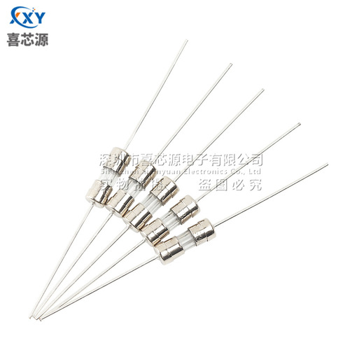 Source factory 3.6x10mm double cap glass fuse F3A 250V fast break with lead foot fuse 