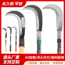 ����������砵����⿳�s�ݼ��L���ݵ�65�i��r�õ��߿����õ�