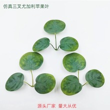 �S�����l����Gֲ�ȼ����O���~�ٗl�����Ҿ��b��~���������~