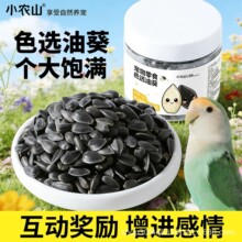 小农山鹦鹉色选油葵瓜子训练奖励零食虎皮牡丹玄凤小太阳专用鸟粮