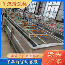 不锈钢花菜气泡清洗机商用油茶籽气泡清洗设备茶油果涡流式清洗机