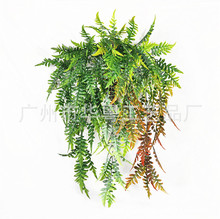 RdֲٗlڒٻϼٻcҾӾGֲbڒ