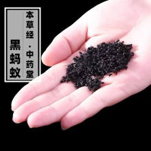 云南野生黑蚂蚁500g天然无硫高原草蚂蚁正宗药用泡酒料蚂蚁