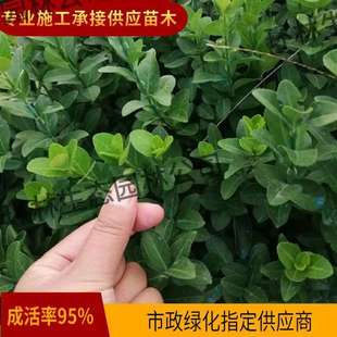 �lì�綬���lì����~����G�h���·С�^���̾G����ͥԺ�Nֲ���l