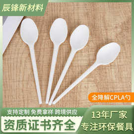 批发可降解环保一次性勺子餐具外卖勺高档餐厅酒店加厚玉米淀粉勺