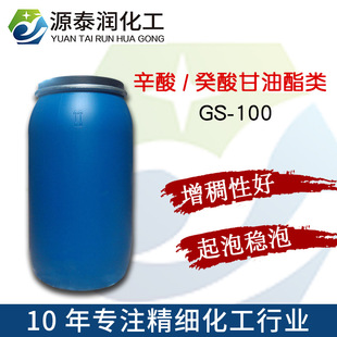 ���CMEA�������������GS-100�S�����l���턩����/����������
