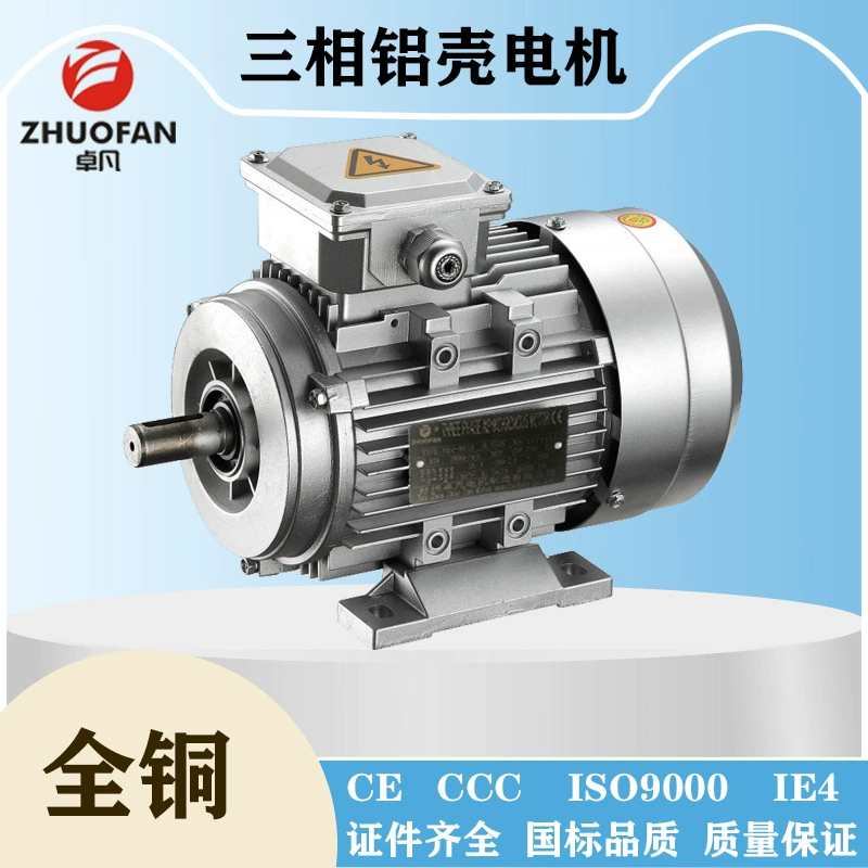 [Zhuo Fan Electric] Трехфазный мотор YE3 YS MS серии монолитный медный алюминиевый кожух, гидравлический пресс