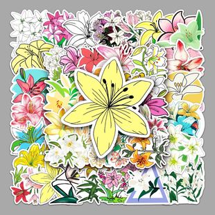 50���ٺϻ��T�f�N�� �羳��ֲͨ�ﻨ���N��DIY�֙C�������N����ˮ