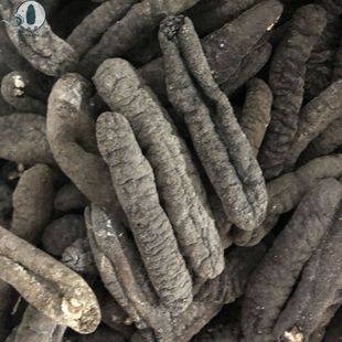 ���l���ɞ����������ڞ���40�^ȥ�ǰl���ߺ�����؛���lȫ���l؛