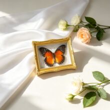 �t�͐��������˱���Ʒ��Ƭ�������N�߼��й����ͶY���b�