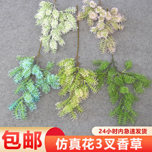 С�ݺ��ݴ���ݲ廨����ř��bٻ��廨�~�Ӻ�����ˮ���F�z�r��