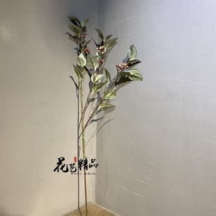 ����{��Ұ��������~��֦�ن�ֻ/����辞����~ܛ�b�����Gֲ�Θ�