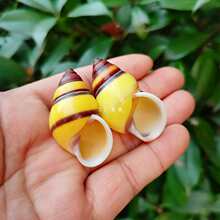 ���l��Ȼϡ�к���ؐ���f���p����΁ţ�ݘ˱��ղ��~���쾰�b[��