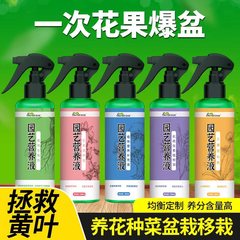 Chlorophyll Plant Gardening Leaf Care Universal Nutrient Solution Green Leaf Promotes Growth Concentrated Fertilizer