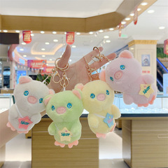 New Starry Sky Little Pig Cute Plush Doll Grab Machine Wedding Gift Stuffed Animal Children's Small Toy Wholesale