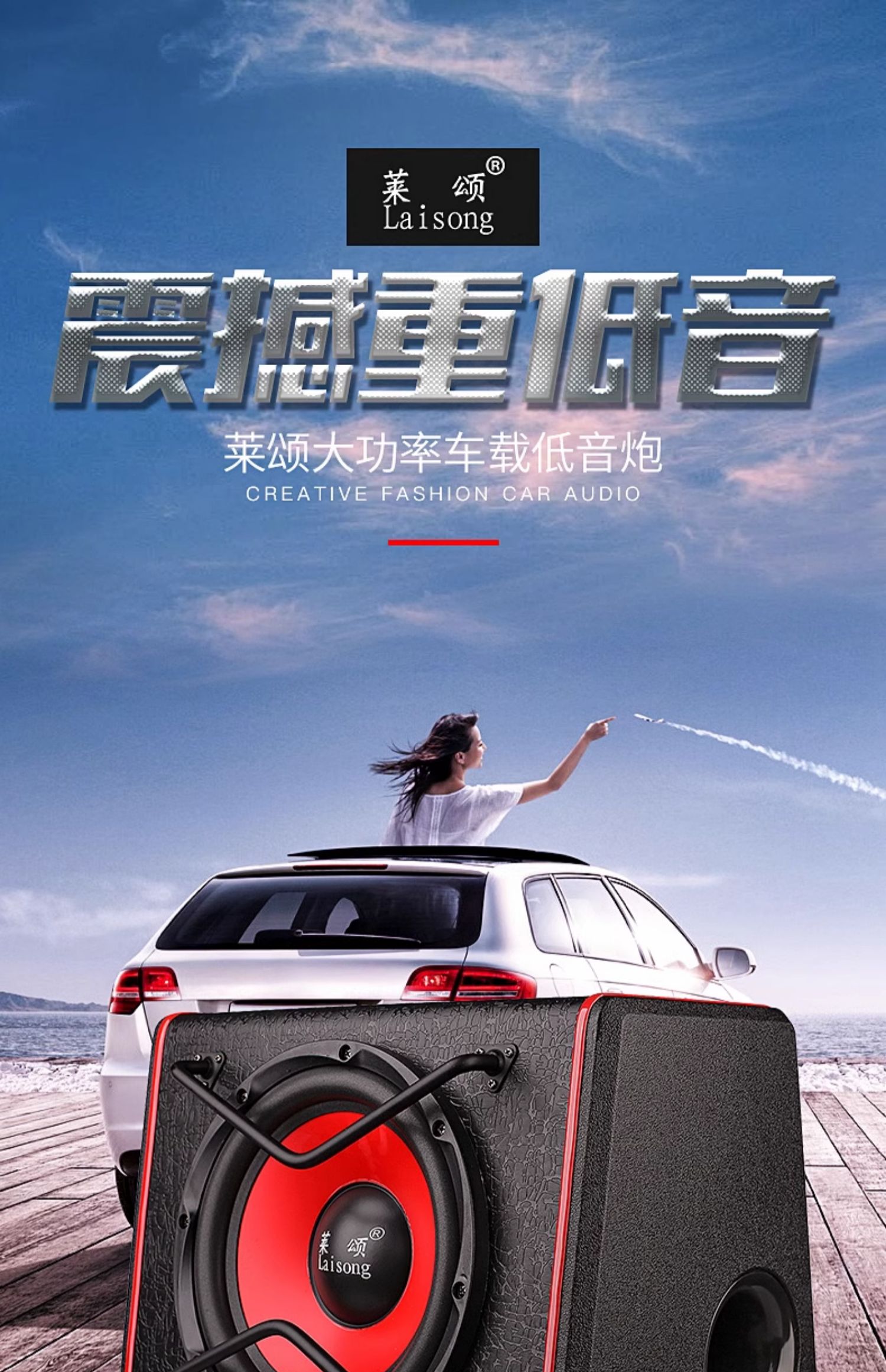 Car Subwoofer 10/12 Inch 12V/24V High Power Car Audio