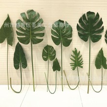 �������ֲ�� �����~ ��֧�����~ �廨�G�~��С�~Ƭ��ľGֲ��