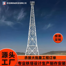 CFW2-5系列避雷塔钢构避雷针塔防雷塔角钢圆钢定制防水抗震