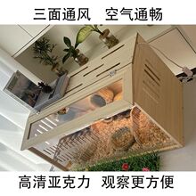 ľ�|�J���u��B�䌣�Â}���z���݌���\�����r�Bֳ�a�ط����u�C