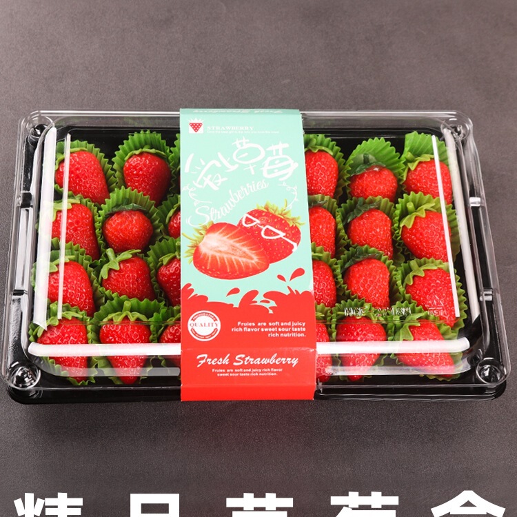 High-End Boutique Strawberry Box Packaging Box Disposable Plastic Fruit Packaging Box Rectangular Glossy Strawberry Tray
